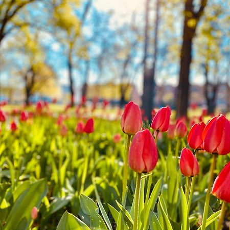 Schoene Aussichten Mitten In Berlin - Il Sole 외부 사진