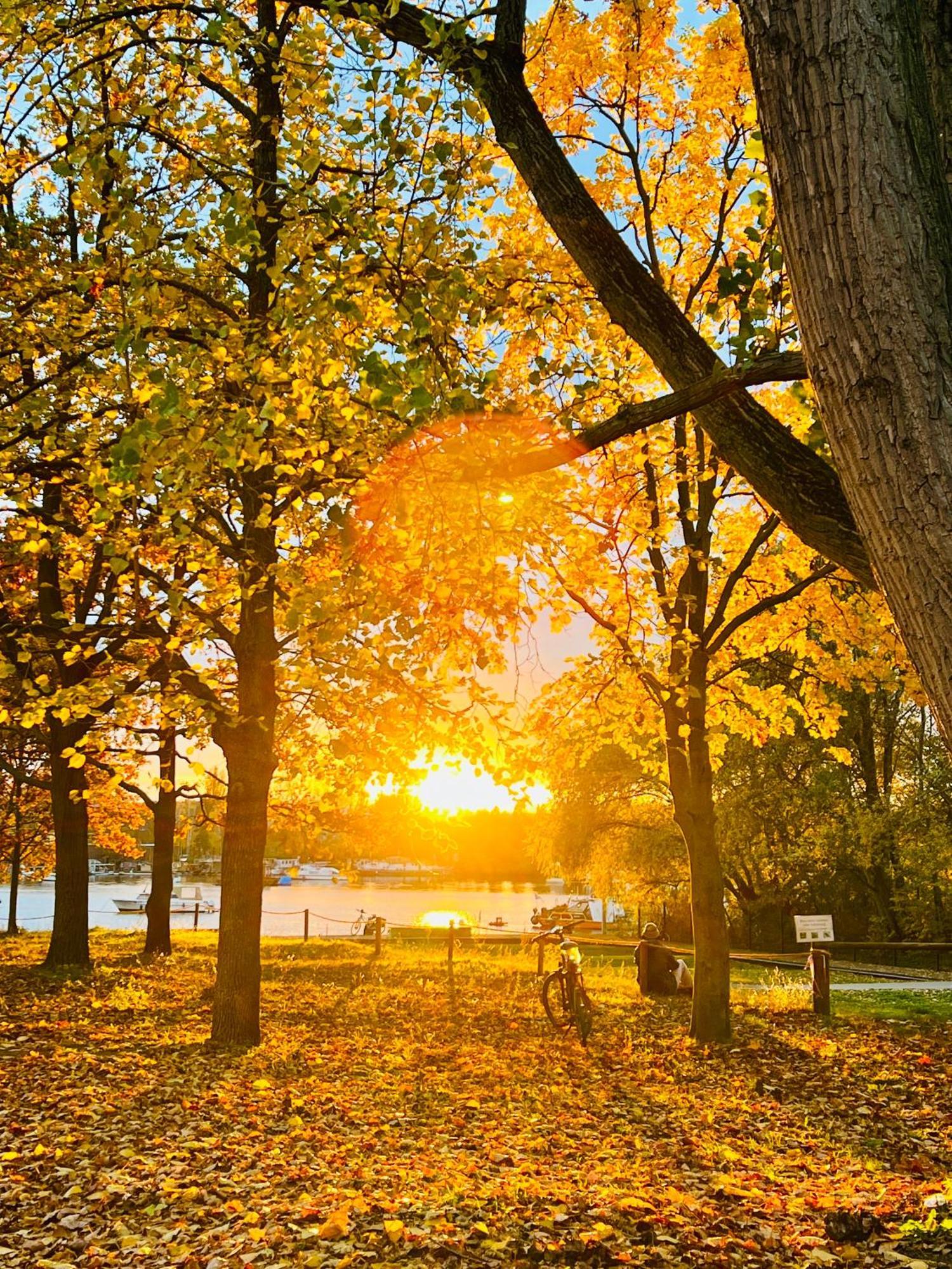 Schoene Aussichten Mitten In Berlin - Il Sole 외부 사진