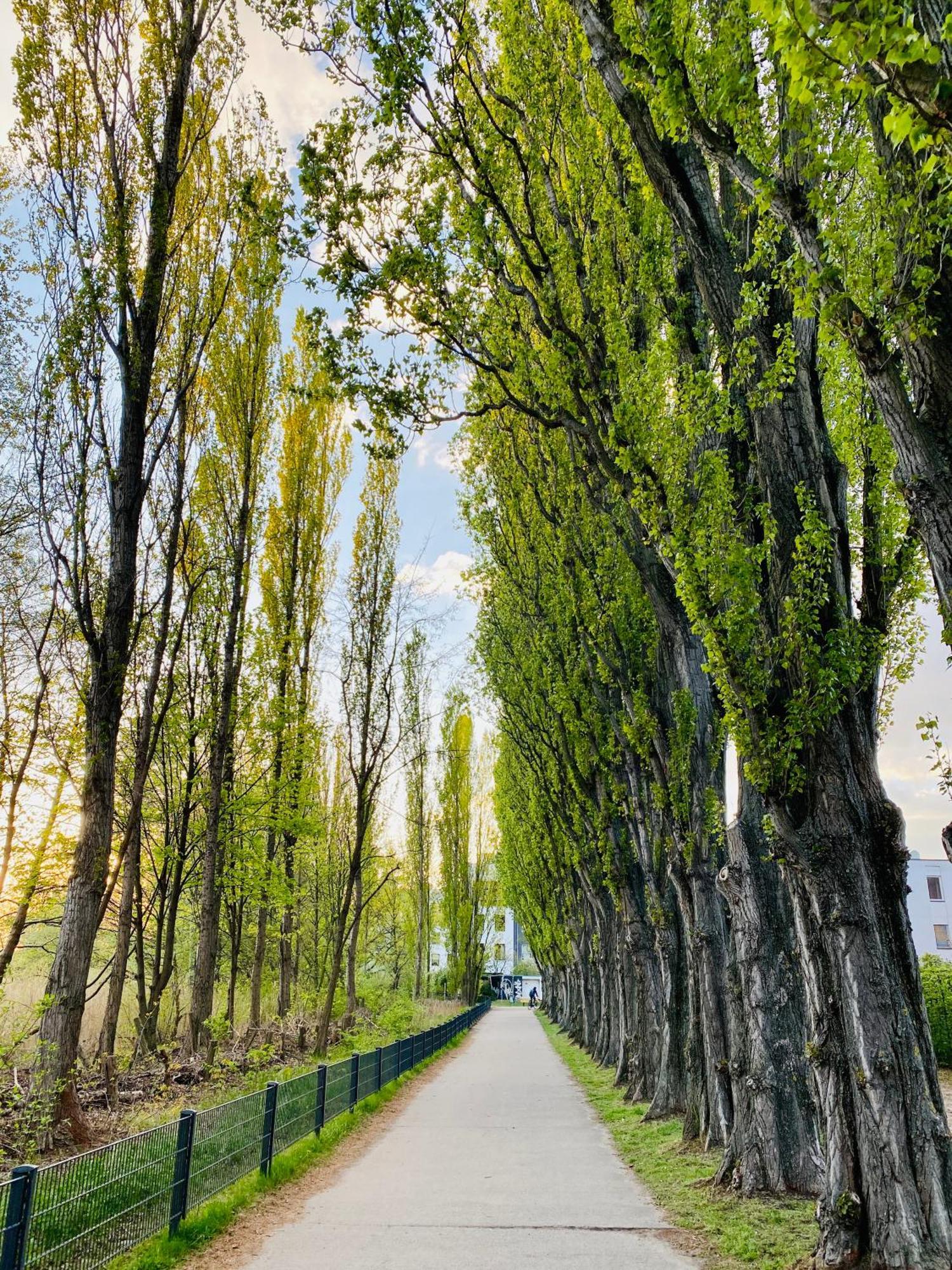 Schoene Aussichten Mitten In Berlin - Il Sole 외부 사진